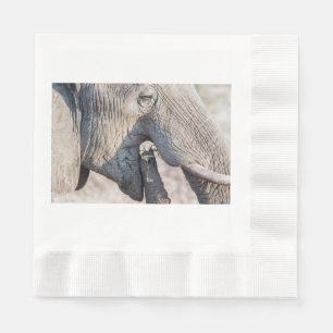 Elephant feeding napkin