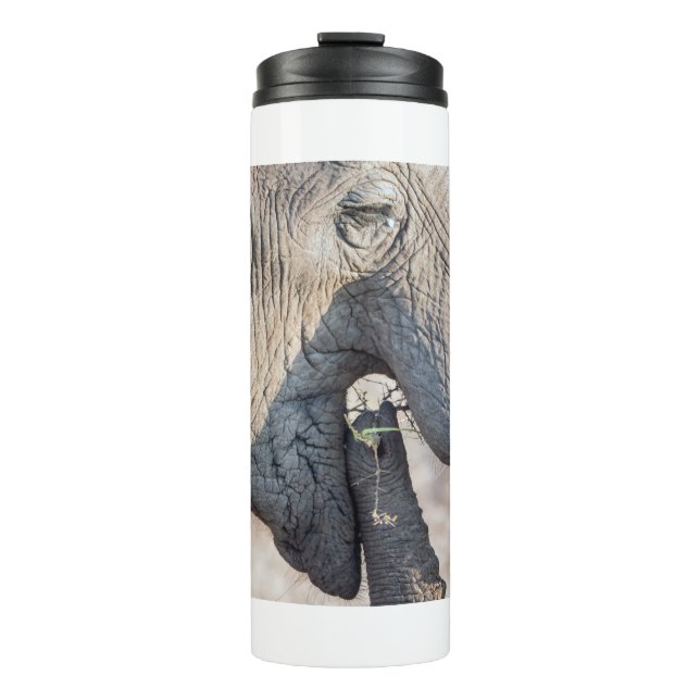Elephant feeding thermal tumbler (Front)