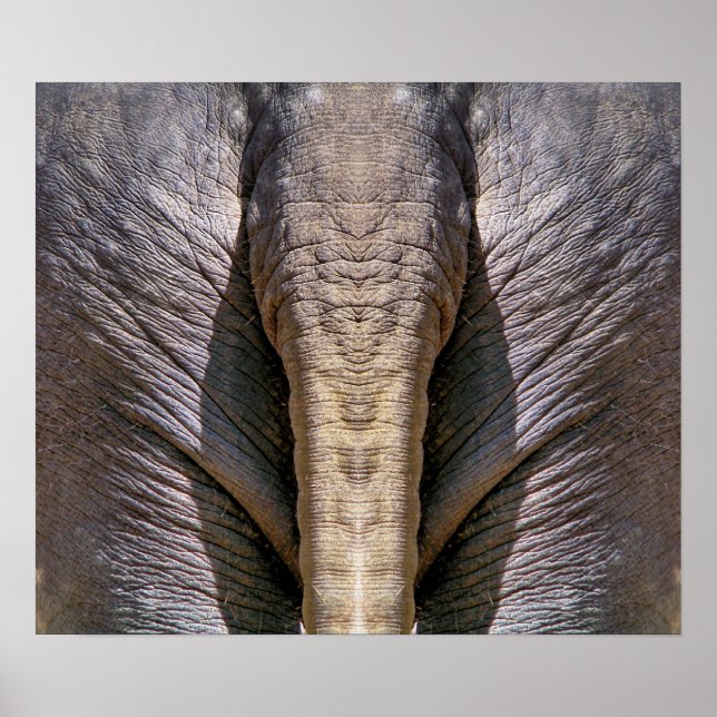 ELEPHANT FUN POSTER (Front)