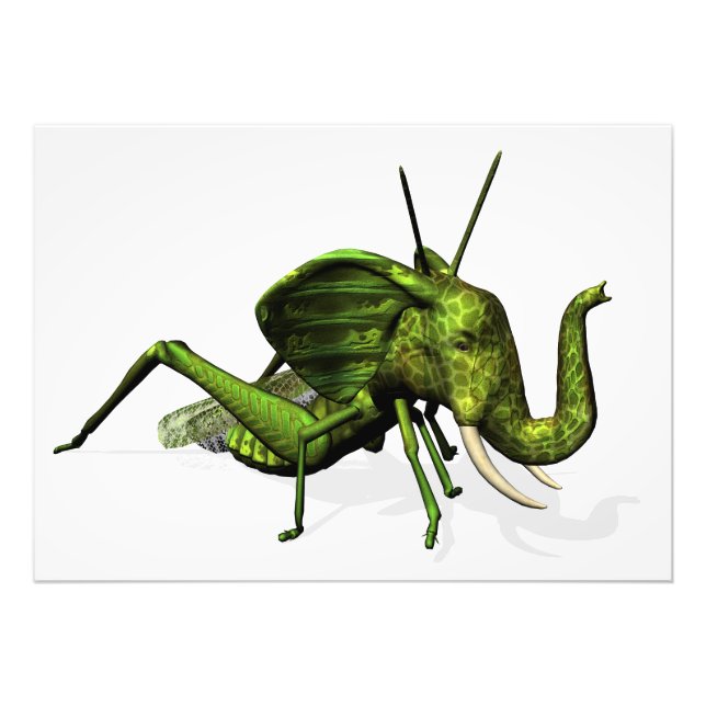 Elephant Grasshopper Crossbreed Photo Print (Front)