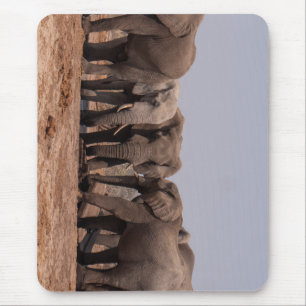 elephant, grazing, animal mouse pad