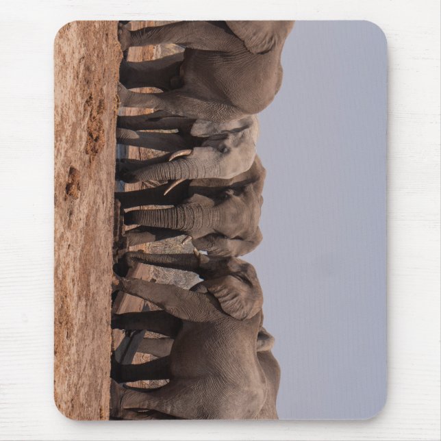 elephant, grazing, animal mouse pad (Front)