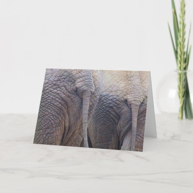 Elephant Greeting Card (Front)