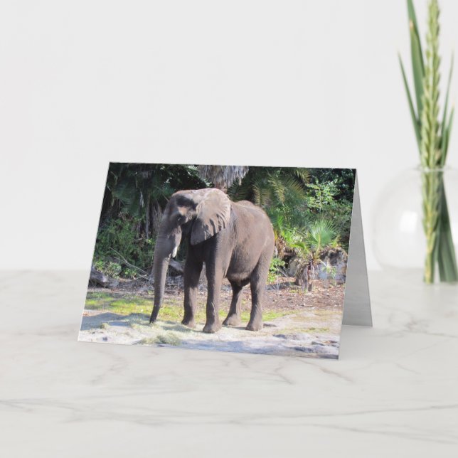 Elephant Greeting Card (Front)