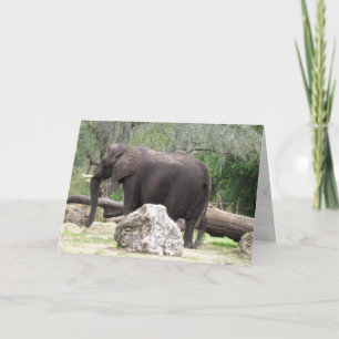 Elephant Greeting Card (0390)