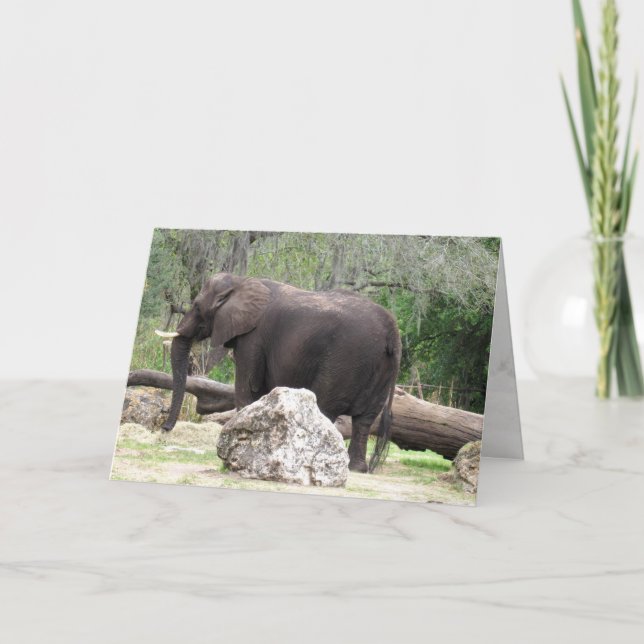 Elephant Greeting Card (0390) (Front)