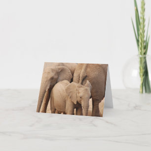 Elephant Greeting Card - Blank