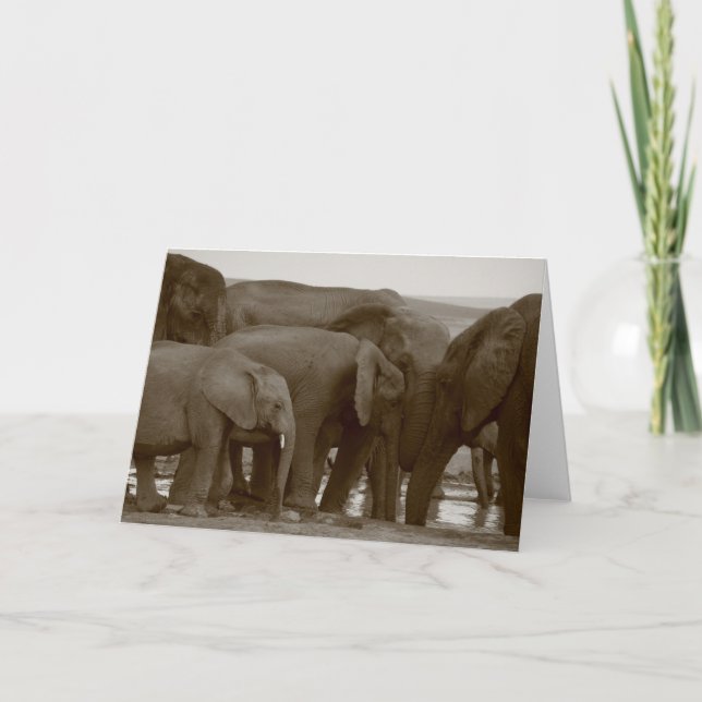 Elephant Greeting Cards for a Cause (Front)