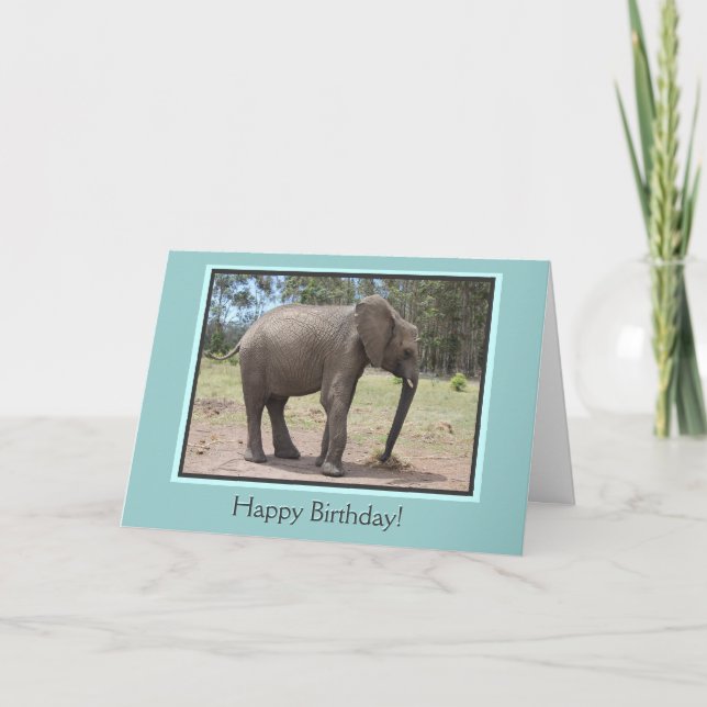 Elephant Happy Birthday Card (Front)