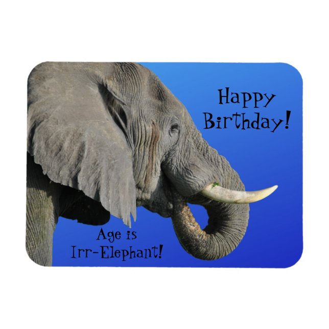 Elephant Happy Birthday Funny Age is Irr Elephant Magnet (Horizontal)