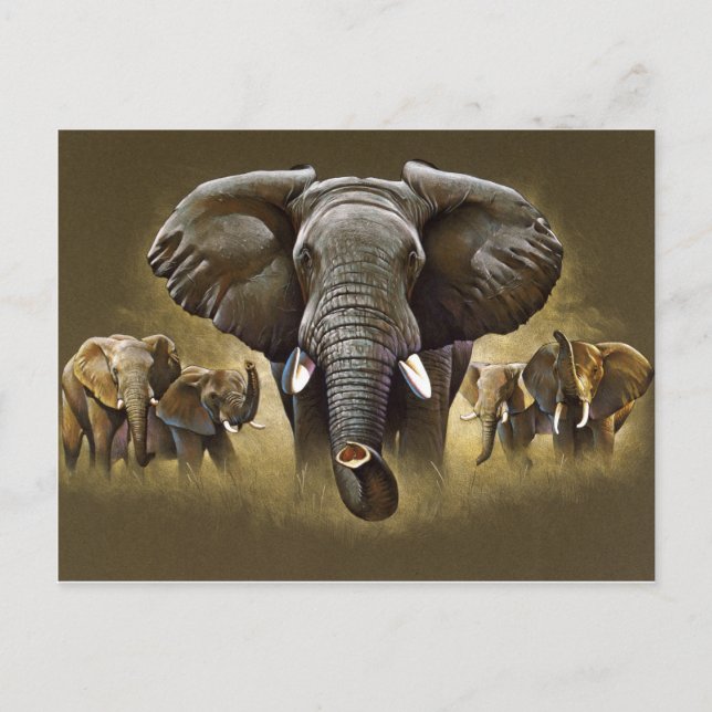 Elephant Herd Charging Postcard (Front)