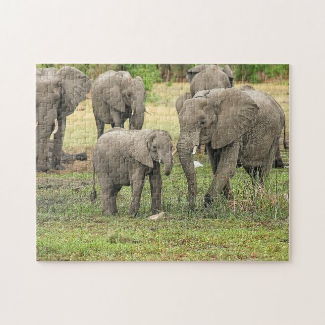Elephant Herd Photo Puzzle (Horizontal)