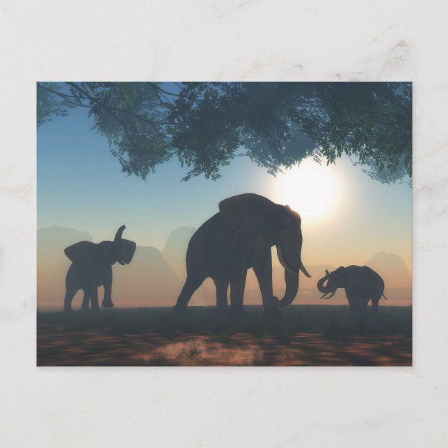 Elephant herd postcard (Front)