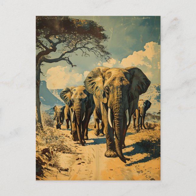 Elephant herd Vintage Postcard (Front)