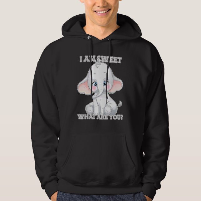Elephant Hoodie (Front)