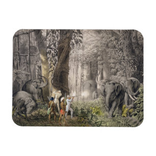 Elephant hunt in the region of Logalla, from 'Trav Magnet