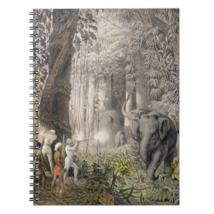 Elephant hunt in the region of Logalla, from 'Trav Notebook