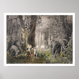 Elephant hunt in the region of Logalla, from 'Trav Poster