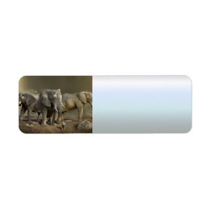 Elephant Hunter on Safari Return Address Label