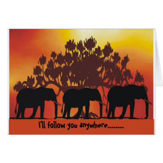 elephant- I'll follow you anywher...