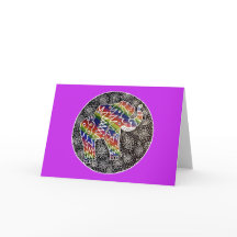 Elephant Illumination