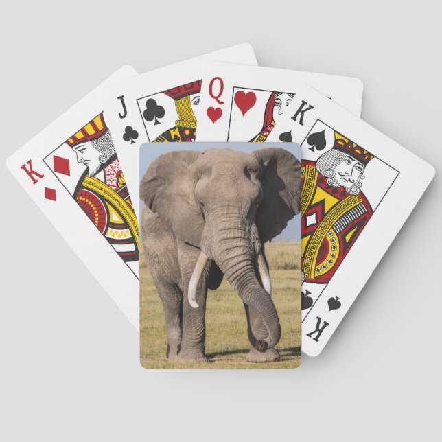 Elephant in an Aggressive Pose Playing Cards (Back)
