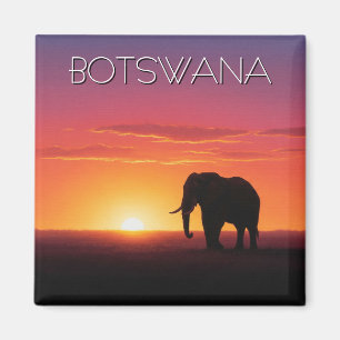 Elephant in Botswana sunset travel Magnet