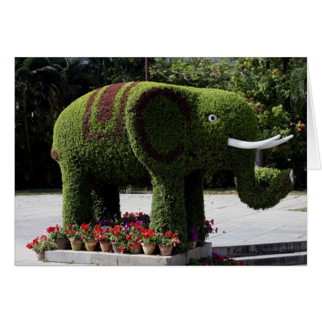 Elephant in chinese garden (Front Horizontal)