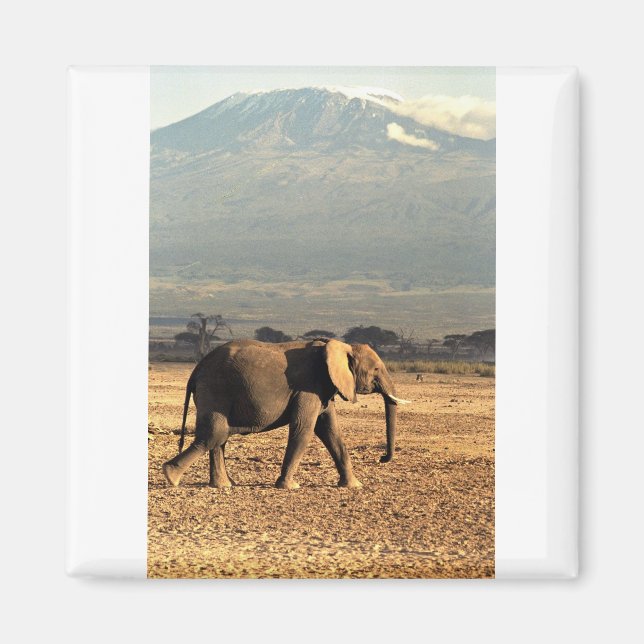 Elephant in front of Kilimanjaro Magnet (Front)