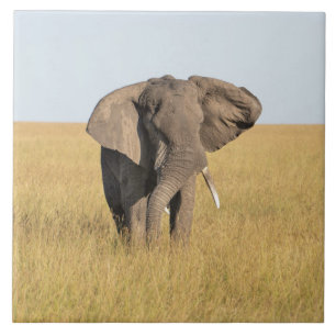 Elephant In Natural African Setting Ceramic Tile