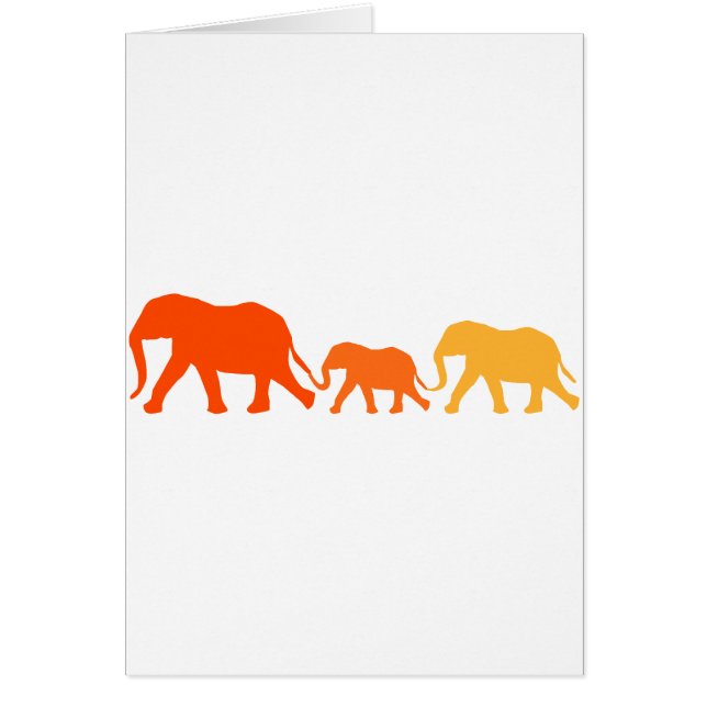Elephant in Orange (Front)