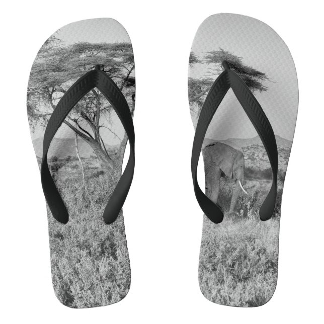 Elephant in Samburu Thongs (Footbed)