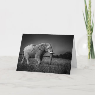 Elephant in the Nxai Pan, Botswana Holiday Card