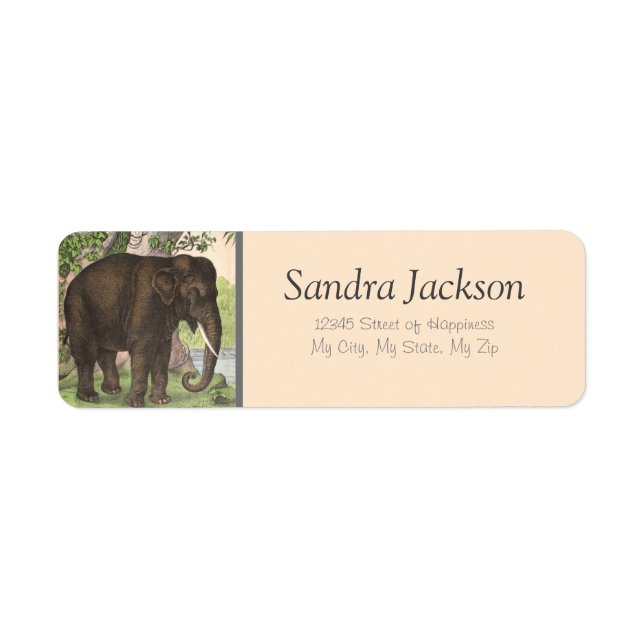 Elephant Jungle Print Return Address Label (Front)