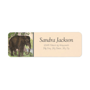Elephant Jungle Print Return Address Return Address Label
