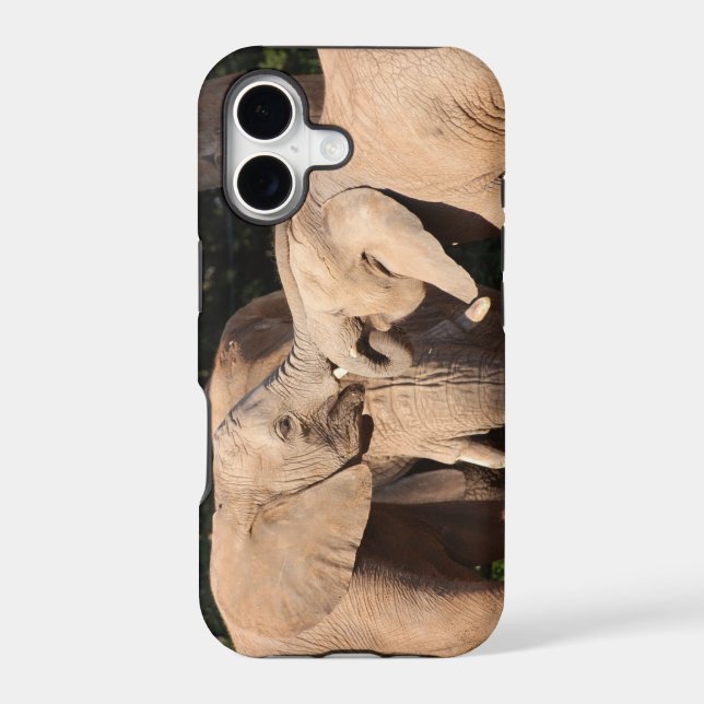 Elephant Love (Back)
