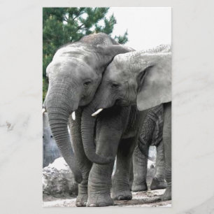 Elephant Love Kiss Peace and joy