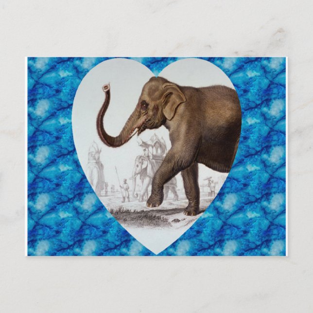 Elephant Love Postcard (Front)