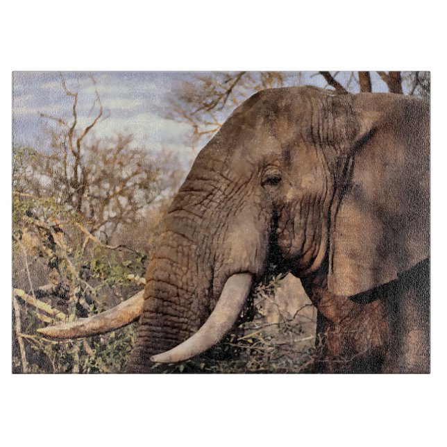 Elephant Lovers Art Cutting Board (Front)