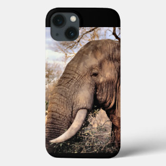Elephant Lovers iPhone 13 Case