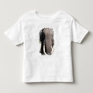 Elephant (Loxodonta africana), Abu Camp 3 Toddler T-Shirt