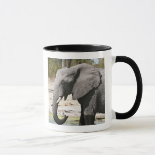 Elephant (Loxodonta africana), Savute Channel Mug