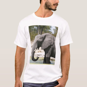 Elephant (Loxodonta africana), Savute Channel T-Shirt