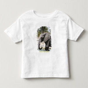 Elephant (Loxodonta africana), Savute Channel Toddler T-Shirt
