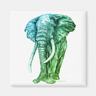 Elephant Magnet