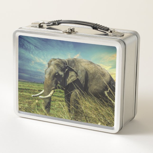 Elephant  metal lunch box (Front)