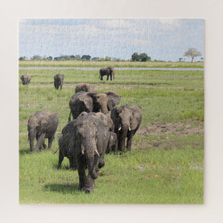 Elephant Migration Jigsaw Puzzle