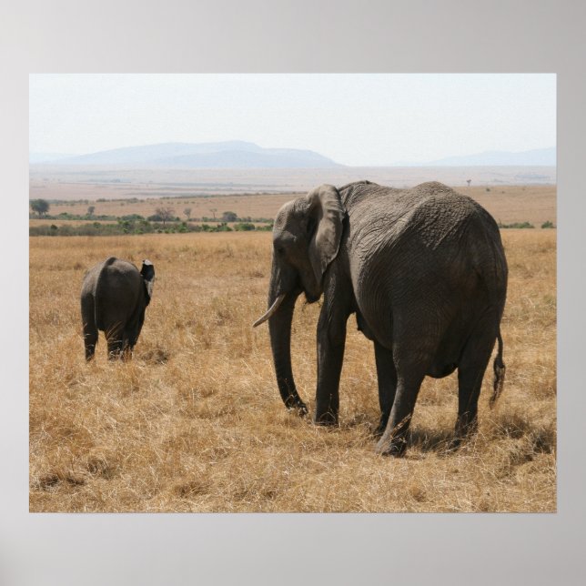 elephant mother child poster (Front)