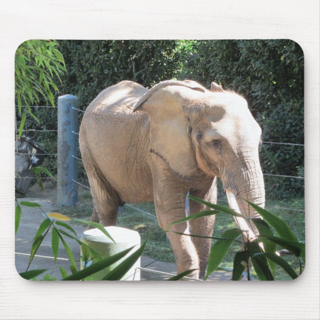 Elephant Mouse Pad (Front)