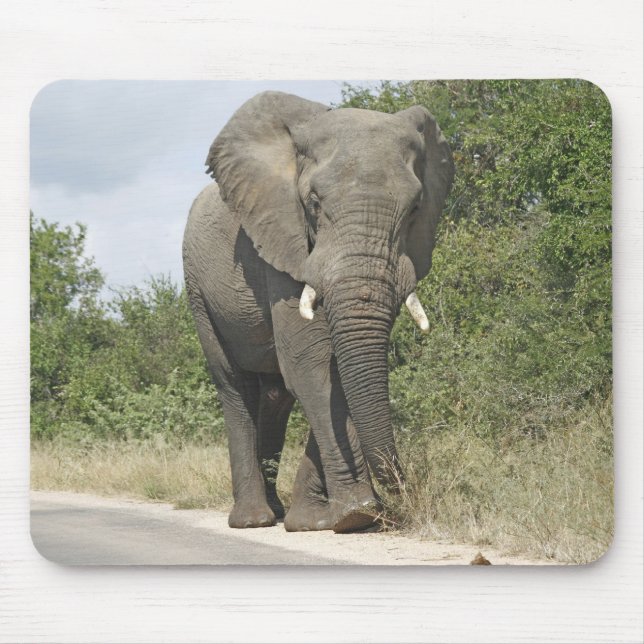 Elephant Mouse Pad (Front)